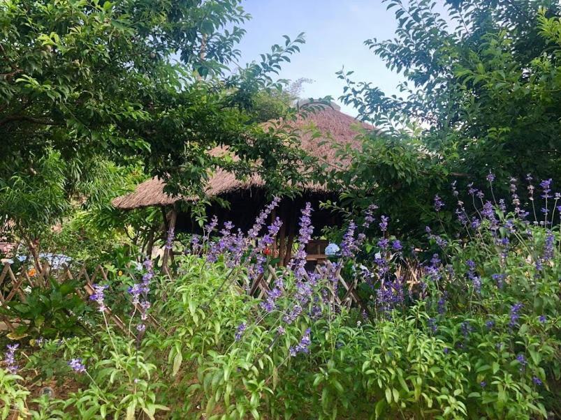 Savana Moc Chau Bed and Breakfast Eksteriør billede